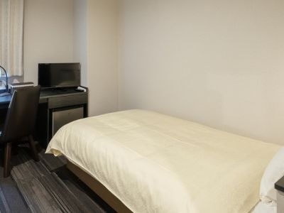 ザプレミアムホテルinりんくう 4*